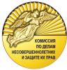 Юбилей Комиссии по делам несовершеннолетних и защите их прав