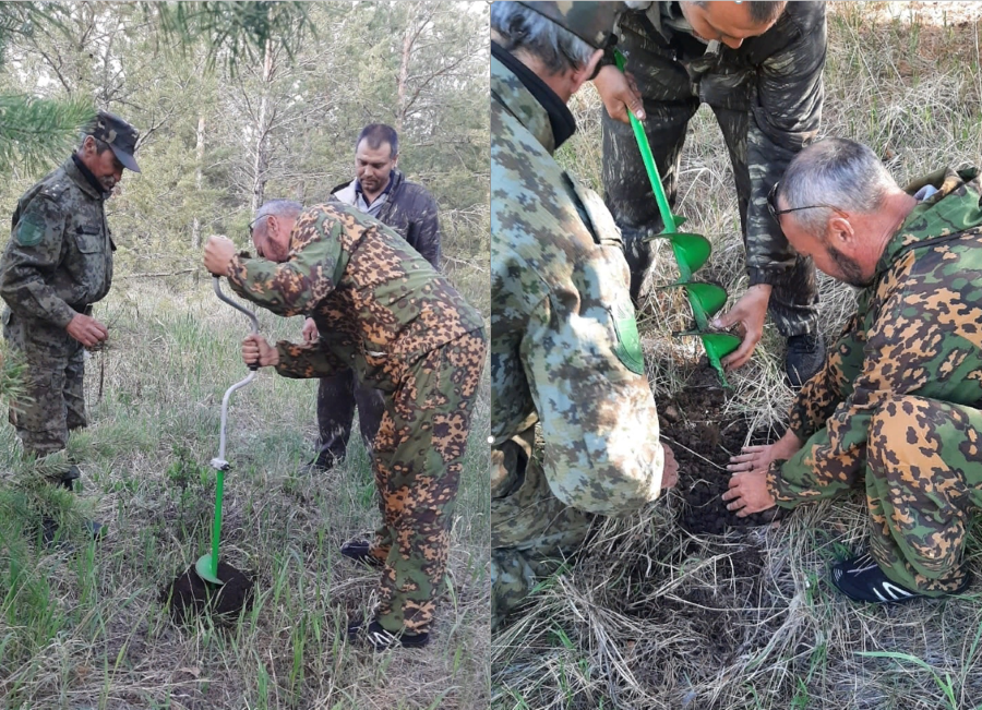 Казаки станицы «Брединская» Челябинской области высадили новые аллеи деревьев в родном поселке Казаки станицы «Брединская» Челябинской области высадили новые аллеи деревьев в родном поселке