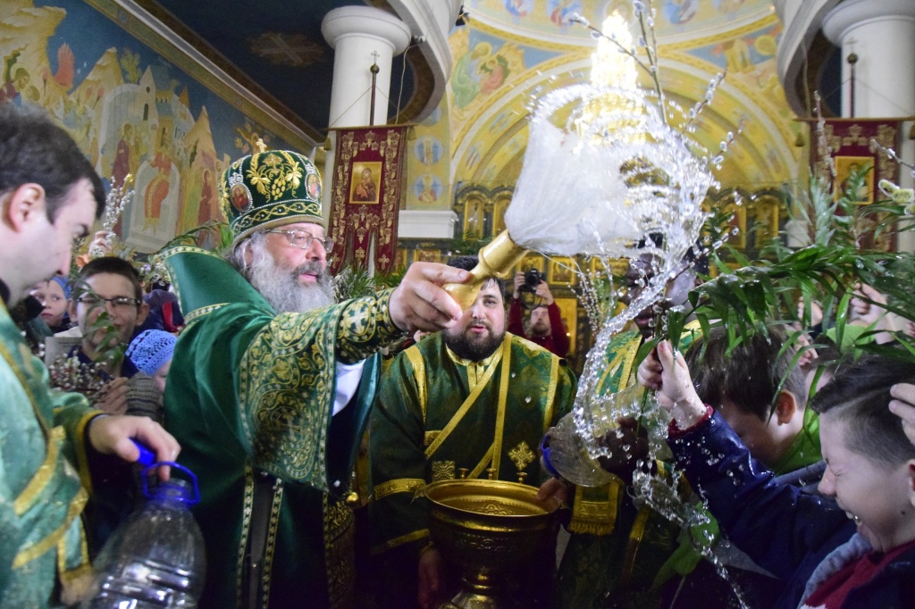 0z8l3rfLi9s.jpg